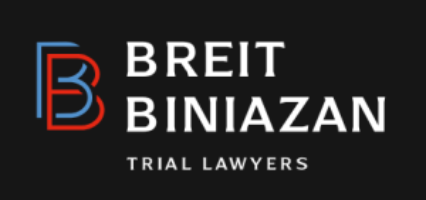 Breit Biniazan - Virginia Beach Law Firm Logo by Jeffrey Breit in Virginia Beach VA